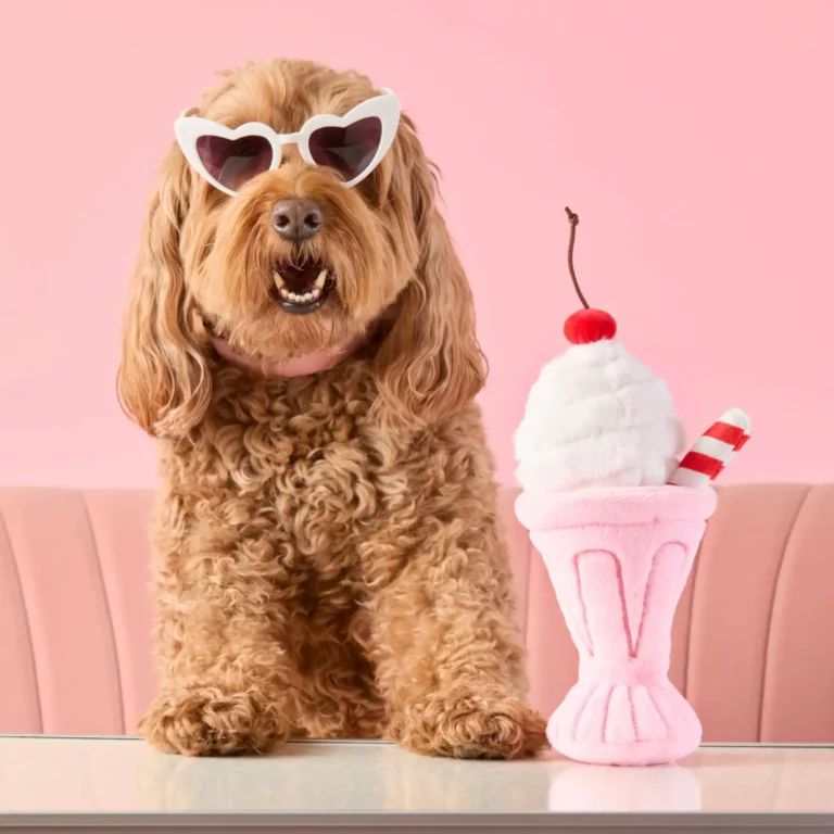 chien portant des lunettes avec jouet d'occupation milkshake