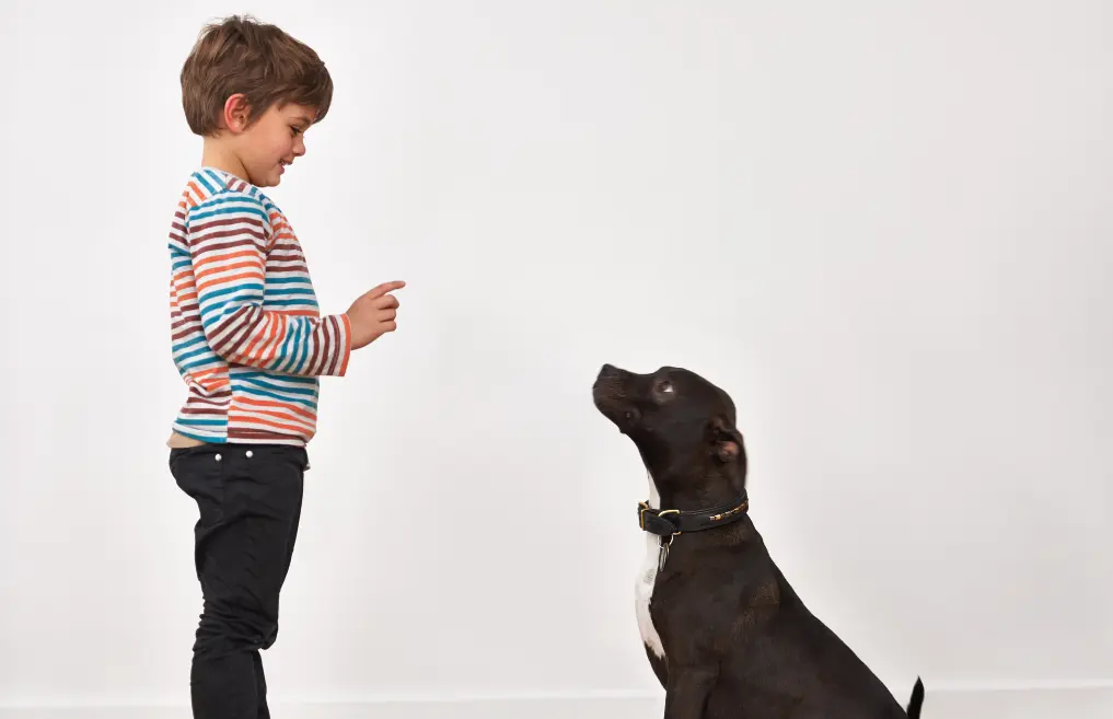 Un enfant debout, vêtu d’un pull à rayures colorées, fait une main devant un chien noir assis et attentif dans une pièce blanche.