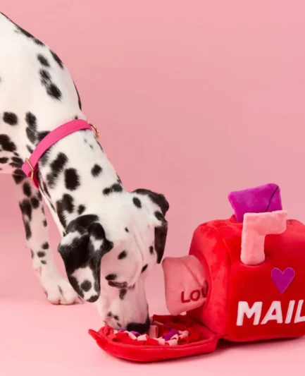 chien dalmatien reniflant le jouet boite aux lettre d'amour