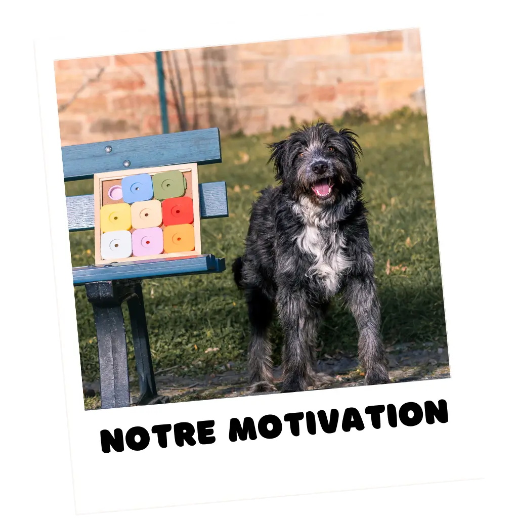 chien souriant à côté d'un puzzle sudoku posé sur un banc