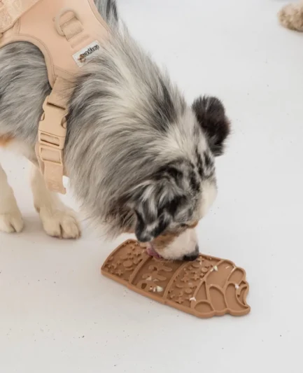 Chien Berger Australien utilisant le tapis à lécher Pupuccino Dexypaws.