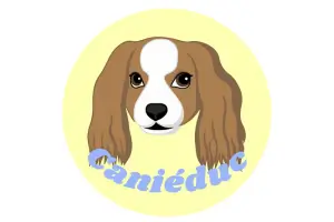 Canieduc education canine positive sur Montpellier, méthode bienveillante Montpellier