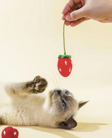Chat siamois jouant avec un jouet pour chat en feutre suspendu en forme de fraise rouge