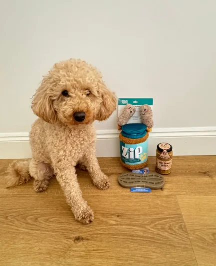 Un chien caniche nain assis à côté du pack Peanut Lover ZippyPaws et Waniyanpi sur un parquet en bois