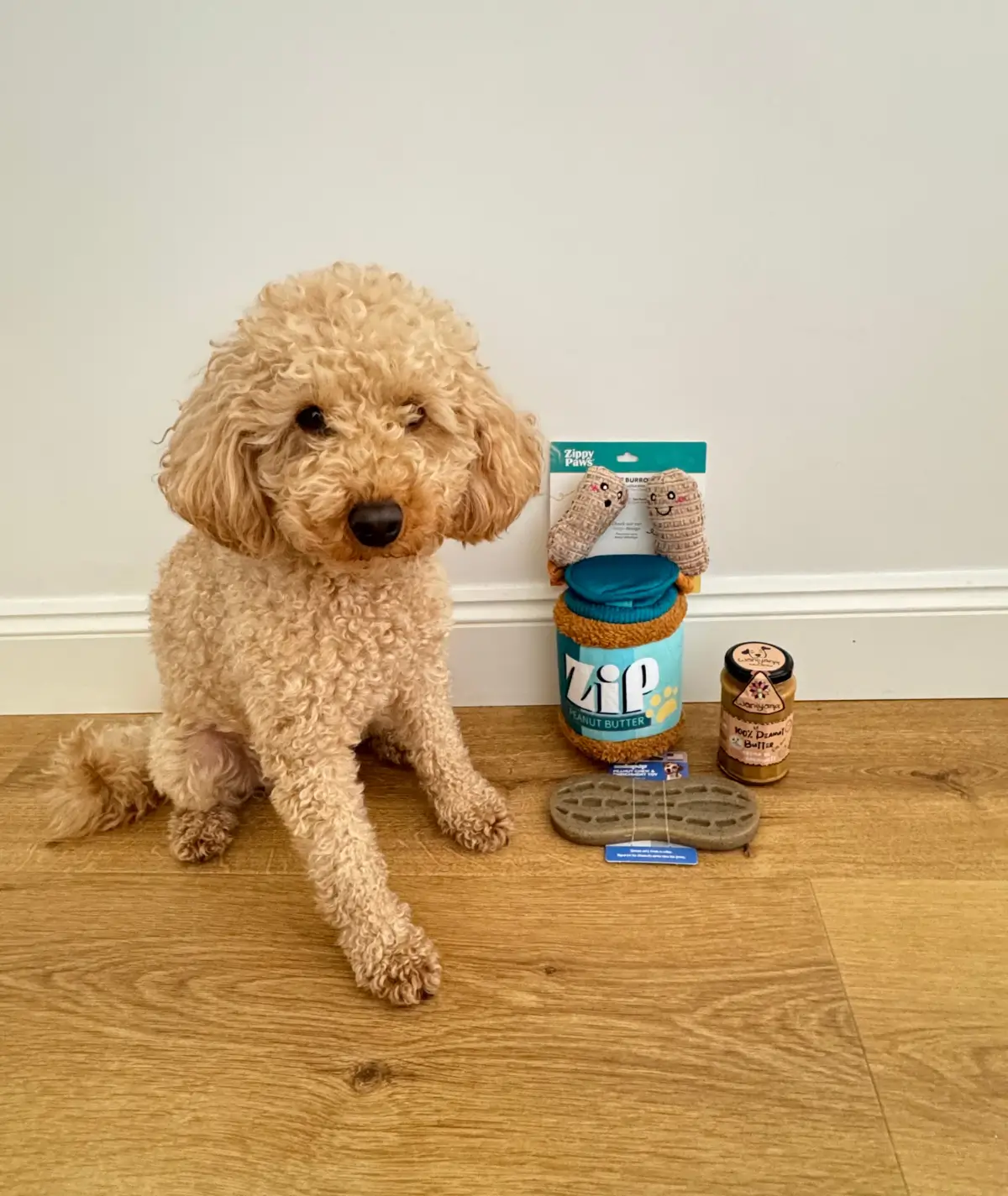 lucci-avec-pack-peanut-lover-wyatt-toys Un chien caniche nain assis à côté du pack Peanut Lover ZippyPaws et Waniyanpi sur un parquet en bois