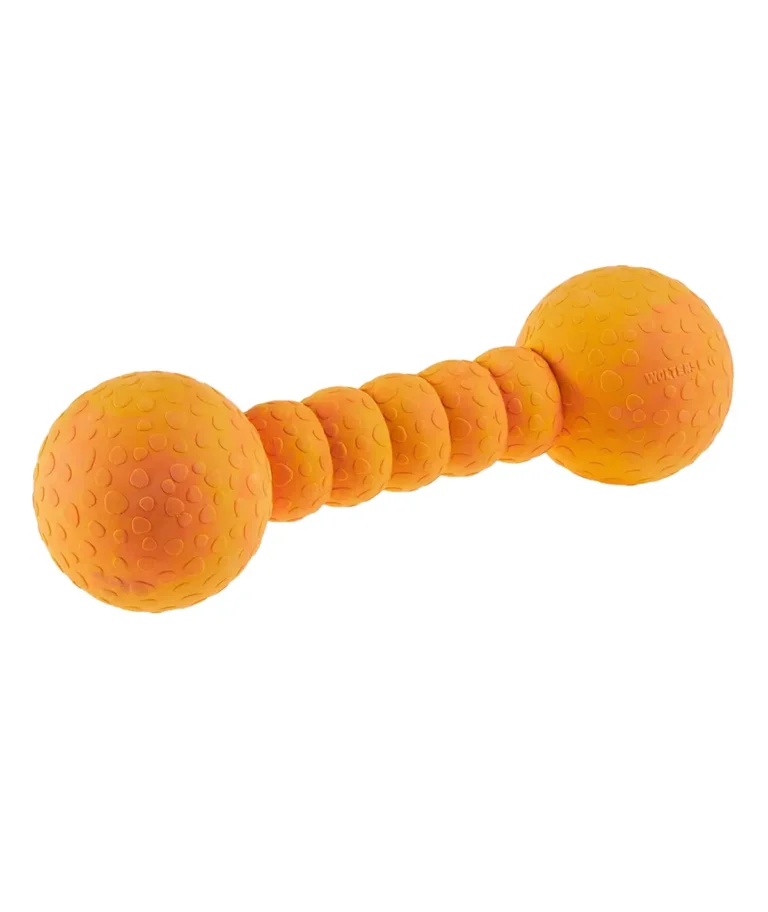 Photo de produit sur fond blanc du jouet Aqua Fun Gym de Wolters, un haltère en caoutchouc naturel orange texturé pour chien.